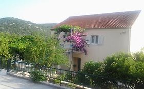 Apartments Jelic